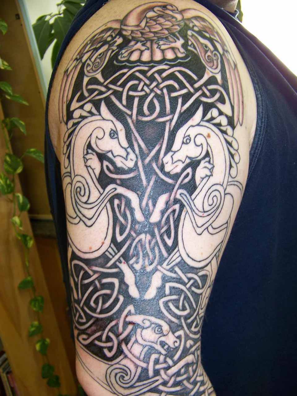 100's of Celtic Dragon Tattoo Design Ideas Pictures Gallery