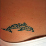 Dolphin Tribal Tattoo7 150x150 - 100’s of Dolphin Tribal Tattoo Design Ideas Pictures Gallery