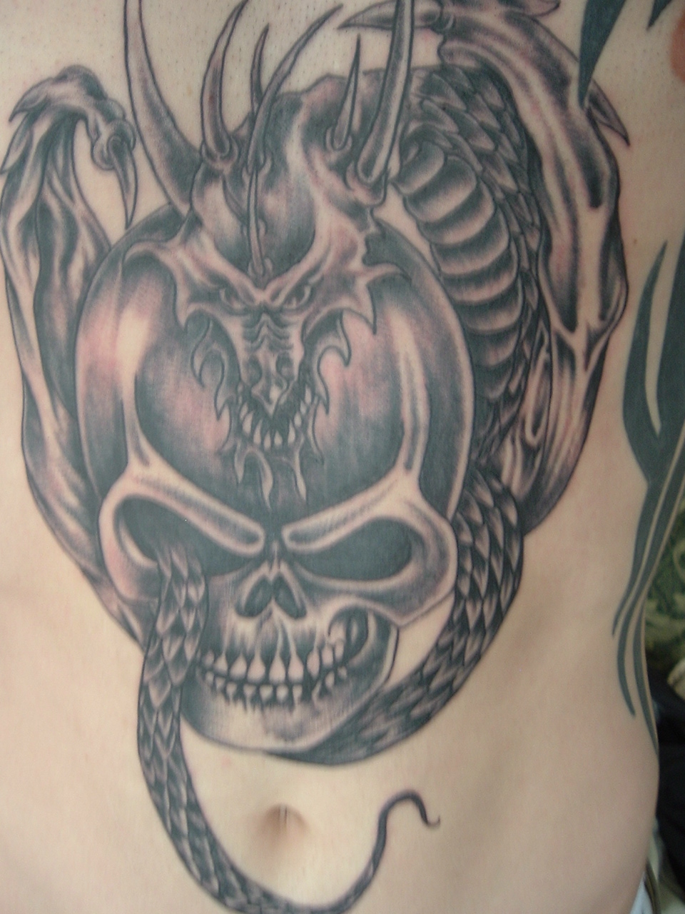 Dragon Skull 1 - 100's of Tiger and Dragon Tattoo Design Ideas Pictures Gallery