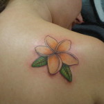 Plumeria Tattoo 11 150x150 - 100's of Plumeria Tattoo Design Ideas Pictures Gallery