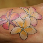 Plumeria Tattoo 3 150x150 - 100's of Plumeria Tattoo Design Ideas Pictures Gallery