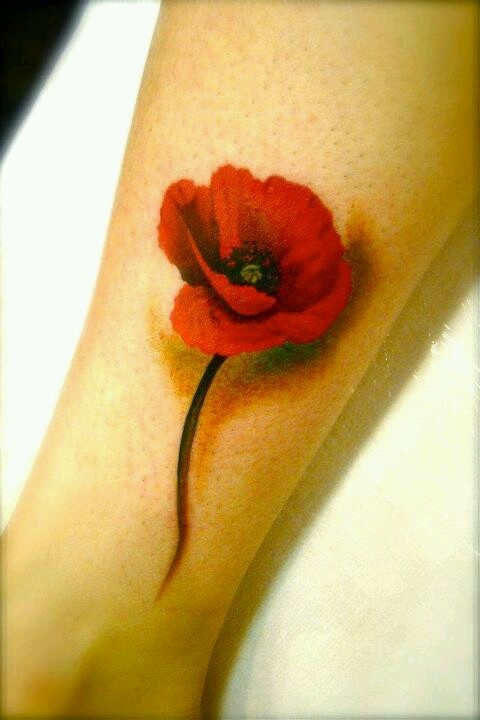 Poppy Tattoo 1 - 100's of Rose Tattoo Design Ideas Pictures Gallery