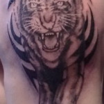 Tiger Tribal Tattoo5 150x150 - 100’s of Tiger Tribal Tattoo Design Ideas Pictures Gallery