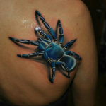 3d bull spider blue ink tattoo on back shoulder 150x150 - Blue tattoos Tattoos Design Ideas Pictures Gallery