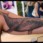 Hampback Whale Tattoo9 150x150 - Whale Tattoos Design Ideas Pictures Gallery