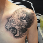 Lion Tattoos 1 150x150 - Lion Tattoos Design Ideas Pictures Gallery