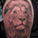 Lion Tattoos 12 150x150 - Lion Tattoos Design Ideas Pictures Gallery