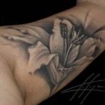 lilly tattoos 10 150x150 - Lilly Tattoos Design Ideas Pictures Gallery