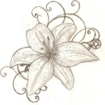 lilly tattoos 4 150x150 - Lilly Tattoos Design Ideas Pictures Gallery