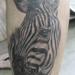 special tattoo image animal tattoo design collection 1410622946n84gk 150x150 - Zebra Tattoos Design Ideas Pictures Gallery