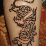 tiger tattoos 11 150x150 - Tiger Tattoos Design Ideas Pictures Gallery