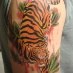 tiger tattoos 12 150x150 - Tiger Tattoos Design Ideas Pictures Gallery