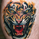 tiger tattoos 3 150x150 - Tiger Tattoos Design Ideas Pictures Gallery