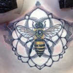 tumblr nfz6n0ZV5t1ql6gk0o1 400 150x150 - Bee Tattoos Design Ideas Pictures Gallery