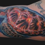 turtle tattoo 2 150x150 - Turtle Tattoos Design Ideas Pictures Gallery