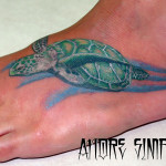 turtle tattoo 5 150x150 - Turtle Tattoos Design Ideas Pictures Gallery
