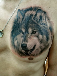 wolf tattoo celtic 225x300 - Wolf Tattoos Design Ideas Pictures Gallery