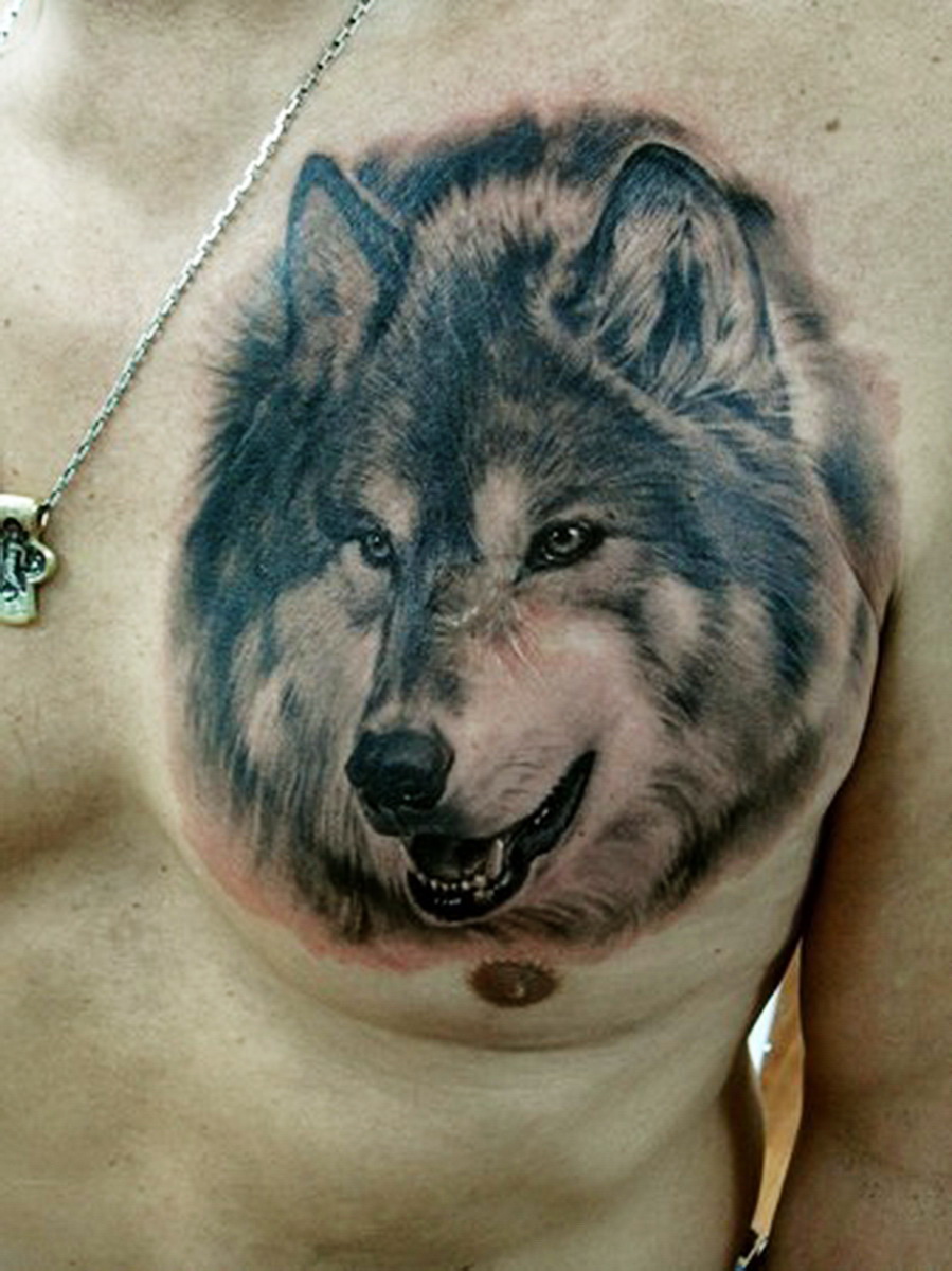 wolf tattoo celtic - 100's of Eliza Dushku Tattoo Design Ideas Picture Gallery