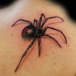 13 spider by uken 150x150 - 100's of Spider Tattoo Design Ideas Picture Gallery