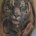 Animal Tattoos 12 150x150 - 100's of Animal Tattoo Design Ideas Picture Gallery