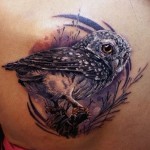 Animal Tattoos 4 150x150 - 100's of Animal Tattoo Design Ideas Picture Gallery