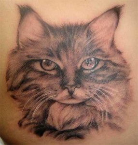 Cat Tattoos 10 286x300 - 100's of Cat Tattoo Design Ideas Picture Gallery