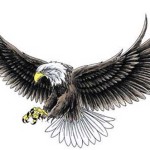 Eagle Tattoos 21 150x150 - 100's of Eagle Tattoo Design Ideas Picture Gallery