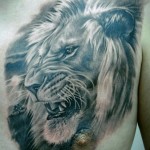 Lion Tattoos 14 150x150 - 100's of Lion Tattoo Design Ideas Picture Gallery