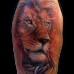 Lion Tattoos 7 150x150 - 100's of Lion Tattoo Design Ideas Picture Gallery