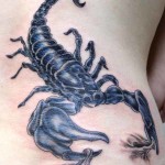 Scorpion Tattoos 1 150x150 - 100's of Scorpion Tattoo Design Ideas Picture Gallery