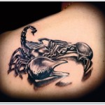 Scorpion Tattoos 13 150x150 - 100's of Scorpion Tattoo Design Ideas Picture Gallery