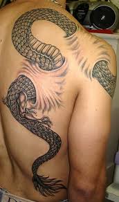 Snake Tattoos 11 - 100's of Snake Tattoo Design Ideas Picture Gallery