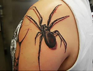 Spiders tattoo 6 300x230 - Spiders_tattoo_6