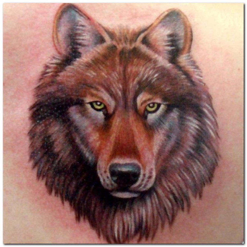 Wolf Tattoos 10 - 100's of 3D Tattoo Design Ideas Picture Gallery