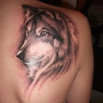 Wolf Tattoos 4 150x150 - 100's of Wolf Tattoo Design Ideas Picture Gallery