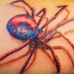 spider tattoo with color 150x150 - 100's of Spider Tattoo Design Ideas Picture Gallery